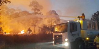 Vegetação às margens da BR-040 pegou fogo 72 vezes em 20 dias; na altura de Itabirito, trânsito parou Vegetações às margens da BR-040 pegam fogo 72 vezes nos últimos 20 dias