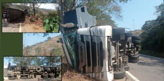 Vídeo e fotos: caminhão tomba e carga de manga se espalha na MG-262, entre Mariana e Acaiaca Video e fotos: caminhão tomba e carga de manga se espalha na MG-262, entre Mariana e Acaiaca