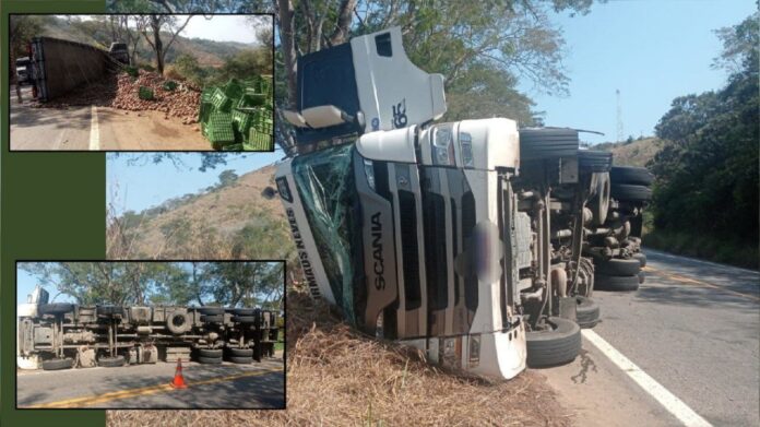 Video e fotos: caminhão tomba e carga de manga se espalha na MG-262, entre Mariana e Acaiaca