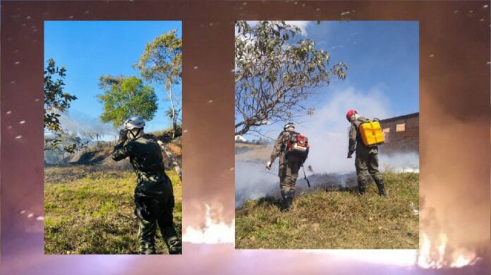 Brigada combate 6 incêndios somente neste sábado