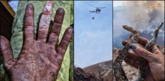 6º dia de combate a incêndio no Parque do Itacolomi: uso de aeronave depende das condições de voo 6º dia de combate a incêndio no Parque do Itacolomi: uso de aeronave depende das condições de voo