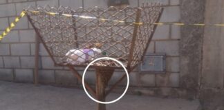 Abelhas em diversos pontos de Itabirito; o motivo: a fumaça das queimadas Abelhas invadem diversos pontos de Itabirito; o motivo: a fumaça das queimadas