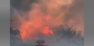 Combate a incêndio em unidade de conservação na área do Itacolomi, em Mariana, mobiliza 23 pessoas Combate a incêndio em unidade de conservação na área do Itacolomi, em Mariana, mobiliza 23 pessoas