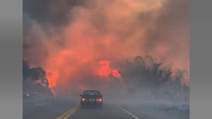 Combate a incêndio em unidade de conservação na área do Itacolomi, em Mariana, mobiliza 23 pessoas  