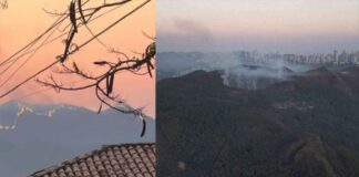 Incêndio em mata de Nova Lima: fogo segue rumo a bairro de BH Incêndio em mata de Nova Lima: fogo segue rumo a bairro de BH