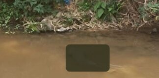 Corpo é encontrado em rio de Mariana Corpo de homem é encontrado dentro de rio de Mariana