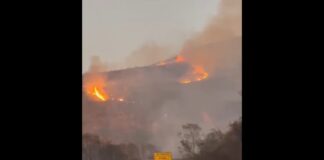 Mariana: incêndio às margens da MG-262 destrói aproximadamente 20 hectares de vegetação Mariana: incêndio às margens da MG-262 destrói aproximadamente 20 hectares de vegetação