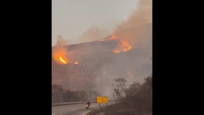 Mariana: incêndio às margens da MG-262 destrói aproximadamente 20 hectares de vegetação