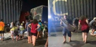 Contagem: populares brigam por causa de carga de peixe após acidente entre 3 caminhões Contagem: populares brigam por causa de carga de peixe após acidente entre 3 caminhões