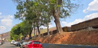 Moeda: usando fone de ouvido, adolescente (de 13 anos) não percebe apito e morre atropelado por trem Moeda: usando fone de ouvido, adolescente (de 13 anos) não percebe apito e morre atropelado por trem