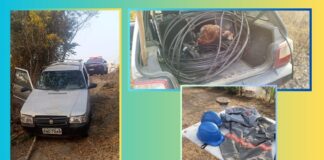 Itabirito: ladrões em fuga abandonam fios de cobre, mas voltam para buscar e dão de cara com a GM e PM Itabirito: ladrões em fuga abandonam fios de cobre, mas voltam para buscar e dão de cara com GM e PM