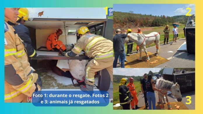 Na BR-040, em Barbacena, reboque quebra e carretinha que levava 2 cavalos atinge mureta e tomba