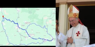 Senado aprova renomeação de trecho da BR-356 em homenagem a Dom Luciano Mendes de Almeida