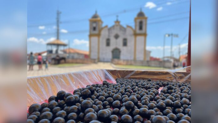 Ouro Preto: 32ª Festa da Jabuticaba é confirmada entre 8 e 10 de novembro em Cachoeira do Campo