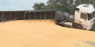 Carreta carregada com 38 toneladas de milho tomba na BR-040 em Contagem Carreta carregada com 38 toneladas de milho tomba na BR-040 em Contagem