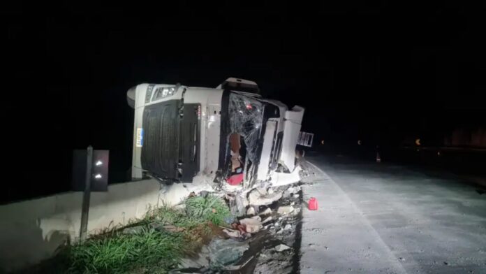 Motorista morre após carreta com 60 bois tombar na BR-262