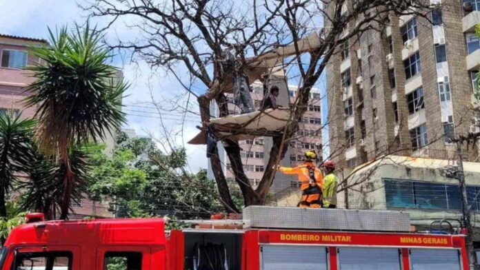 BH: bombeiros imobilizam e tiram homem que construíu uma casa em árvore na Avenida do Contorno