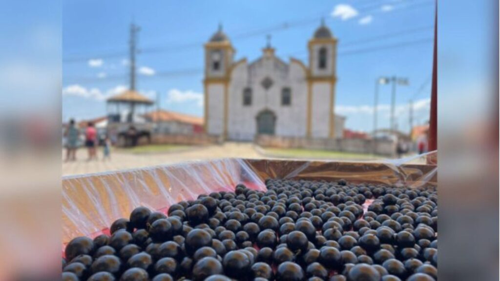 Ouro Preto: 32ª Festa da Jabuticaba começa nesse final de semana; confira a programação completa