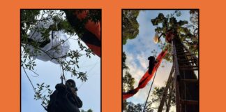 MG: piloto erra em voo de paraglider, fica preso em árvore de 25 m e é resgatado pelos bombeiros MG: piloto erra em voo de paraglider, fica preso em árvore de 25 m e é resgatado pelos bombeiros