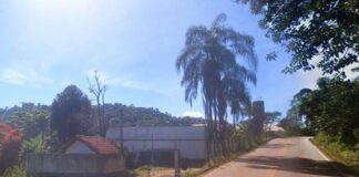 Cavalo agonizando é abandonado em estrada de Itabirito; Brigada e GM são acionadas Cavalo agonizando é abandonado em estrada de Itabirito; Brigada e GM são acionadas