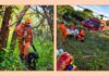 MG: com cão e drone, bombeiros encontram idoso sumido há 6 dias; ele foi socorrido de helicóptero MG: com cão e drone, bombeiros encontram idoso sumido há 6 dias; ele foi socorrido de helicóptero