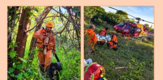 MG: com cão e drone, bombeiros encontram idoso sumido há 6 dias; ele foi socorrido de helicóptero MG: com cão e drone, bombeiros encontram idoso sumido há 6 dias; ele foi socorrido de helicóptero