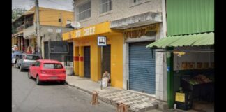 Mulher sentada no meio-fio morre atropelada por ônibus em BH Mulher, que estava sentada no meio-fio, morre atropelada por ônibus em BH