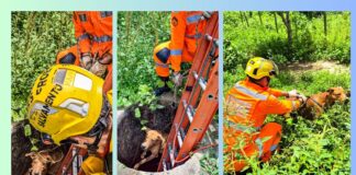 Vídeo: cão cai em cisterna desativada de mais de 3 metros e é resgatado pelos bombeiros de MG Vídeo mostra cão que caiu em cisterna desativada de mais de 3 metros sendo resgatado pelos bombeiros