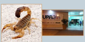 Itabirito: após ser atacada por escorpião, criança é transferida da UPA para o Hospital João XXIII Itabirito: após ser atacada por escorpião, criança é transferida da UPA para o Hospital João XXIII