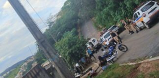 Itabirito: ao cumprir mandado por homicídio, tráfico e estupro, PM é atacado por pit bull; animal leva tiro Itabirito: ao cumprir mandado por homicídio, tráfico e estupro, PM é atacado por pit bull; animal leva tiro