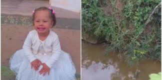 MG: na cadeirinha, menina de 2 anos morre após mãe, sem CNH, perder controle de carro, que caiu em rio MG: na cadeirinha, menina de 2 anos morre após mãe, sem CNH, perder controle de carro, que caiu em rio