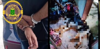 Mariana: pastor alemão é encontrado morto, e tutor é preso, pela GCM, por maus-tratos Mariana: pastor alemão é encontrado morto, e tutor é preso, pela GCM, por maus-tratos