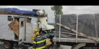 Um morre e outro fica ferido após caminhão-baú, que transportava cavalos, bater em carreta na BR-251 Um morre e outro fica ferido após caminhão-baú, que transportava cavalos, bater em carreta na BR-251