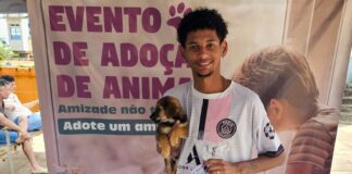 10 animais conseguem um lar durante evento em Mariana 10 animais conseguem um lar durante evento em Mariana