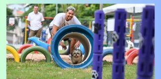 Itabirito pode ter espaço cercado para cães (Parque de “DiverCÃO”) em local público; lei já foi aprovada Itabirito pode ter espaço para cães (Parques de DiverCÃO) em locais públicos; lei já foi aprovada