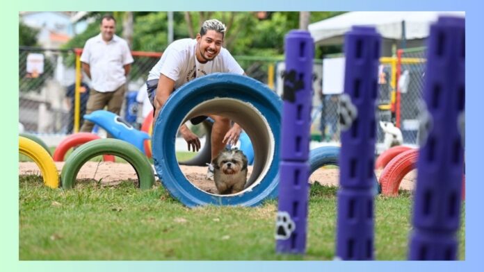 Itabirito pode ter espaço para cães (Parques de DiverCÃO) em locais públicos; lei já foi aprovada