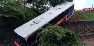 MG: idosa é arremessada para fora de ônibus e outras 6 pessoas ficam feridas após veículo cair em barreira MG: idosa é arremessada para fora de ônibus e outras 6 pessoas ficam feridas após veículo cair em barreira