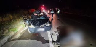 Carro atropela vaca na MGC-462; passageiro (de 19 anos) e animal morrem Carro atropela vaca na MGC-462; passageiro (de 19 anos) e animal morrem