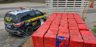 PRF apreende cerca de 1 tonelada de maconha em caminhão na BR-381 PRF apreende cerca de 1 tonelada de maconha em caminhão na BR-381