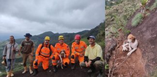 MG: cão é resgatado pelos bombeiros após ficar preso em paredão rochoso de 90 metros de altura MG: cão é resgatado pelos bombeiros após ficar preso em paredão rochoso de 90 metros de altura