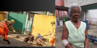 MG: idosa (de 77 anos) é atacada por pitbull e segura patas do animal para se protejer MG: idosa (de 77 anos) é atacada por pitbull e segura patas do animal para se protejer