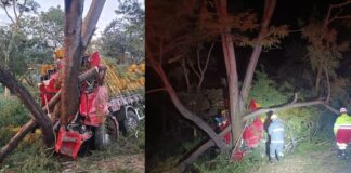 MG: caminhoneiro de 38 de idade morre após caminhão se chocar contra uma árvore na BR-135 MG: caminhoneiro de 38 de idade morre após caminhão se chocar contra uma árvore na BR-135