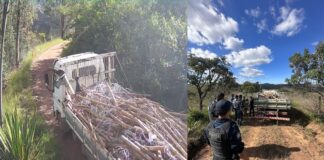 Itabirito: mulheres de Ribeirão do Eixo destroem cerca dos invasores e Prefeitura recolhe materiais deixados Itabirito: mulheres de Ribeirão do Eixo destroem cerca dos invasores e Prefeitura recolhe materiais deixados