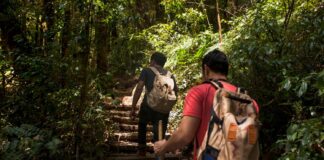 Coca-Cola quer saber das necessidades dos trabalhadores do turismo em Itabirito e mais 3 cidades Coca-Cola quer saber das necessidades dos trabalhadores do turismo em Itabirito e mais 3 cidades