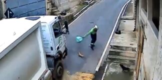 Itabirito: ao ‘estranhar’ trabalhador e ser enxotado, cachorrinho morre atropelado por caminhão de lixo Itabirito: ao ‘estranhar’ trabalhador e ser enxotado, cachorrinho morre atropelado por caminhão de lixo