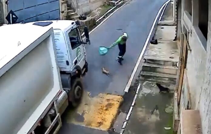 Itabirito: ao ‘estranhar’ trabalhador e ser enxotado, cachorrinho morre atropelado por caminhão de lixo
