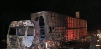 MG: caminhão com 53 bois pega fogo na BR-040; 6 animais morrem carbonizados MG: caminhão com 53 bois pega fogo na BR-040; 6 animais morrem carbonizados