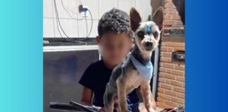 Recreio dos Bandeirantes, Itabirito: desaparecimento de yorkshire deixa criança triste; família pede ajuda Recreio dos Bandeirantes, Itabirito: desaparecimento de yorkshire deixa criança triste; família pede ajuda