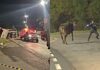BH: caminhão com bois tomba no Anel Rodoviário; animal foge e é contido por guardas municipais BH: caminhão com bois tomba no Anel Rodoviário; animal foge e é contido por guardas municipais