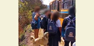 Itabirito: criança desce do escolar e fica pelo caminho por esquecer carteirinha; mãe diz que filha foi expulsa Itabirito: criança desce do escolar e fica pelo caminho por esquecer carteirinha; mãe diz que filha foi expulsa